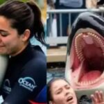 I am here to explain the complete truth to you – so that you do not share wrong information.