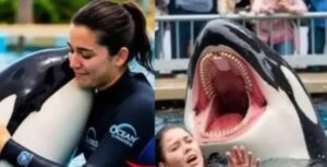 I am here to explain the complete truth to you – so that you do not share wrong information.