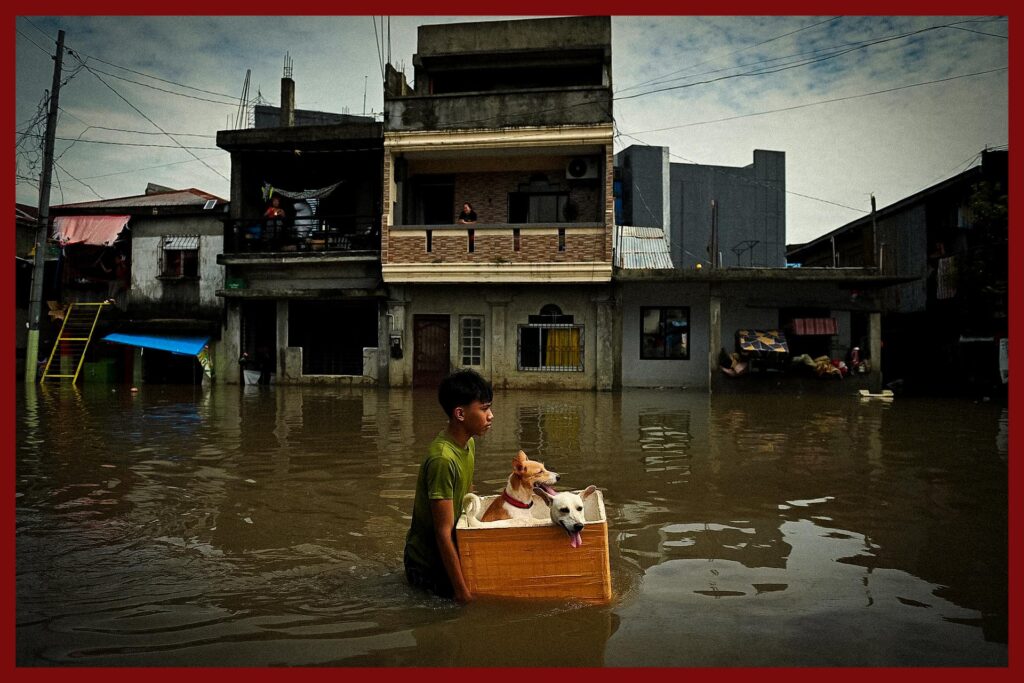 Politics and Climate Change: Why Leaders Don't Act